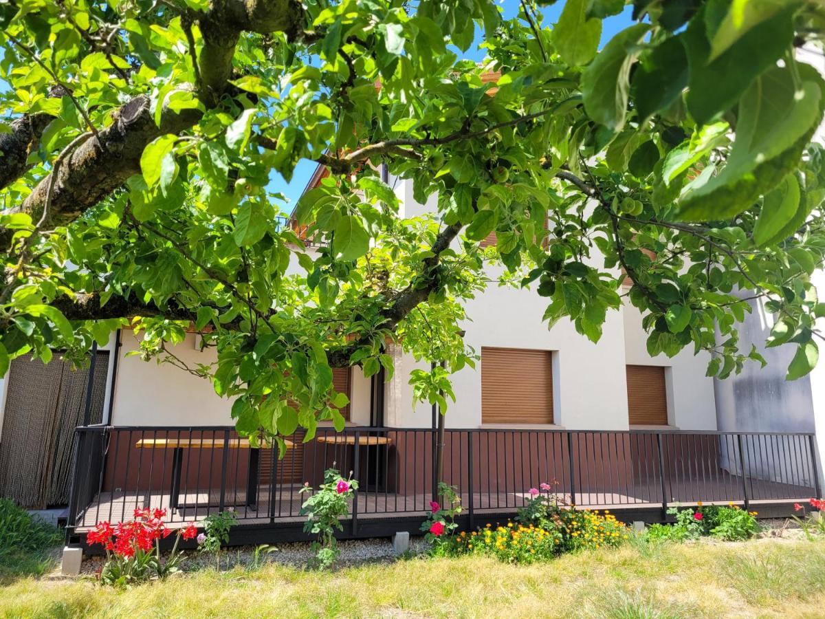 Casa Julio, Bonita Casa Comoda Y Espaciosa, Totalmente Reformada Con Terraza Y Jardin Privado Riezu Exterior photo